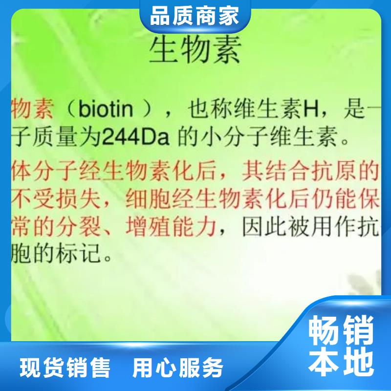 维成素B7用途