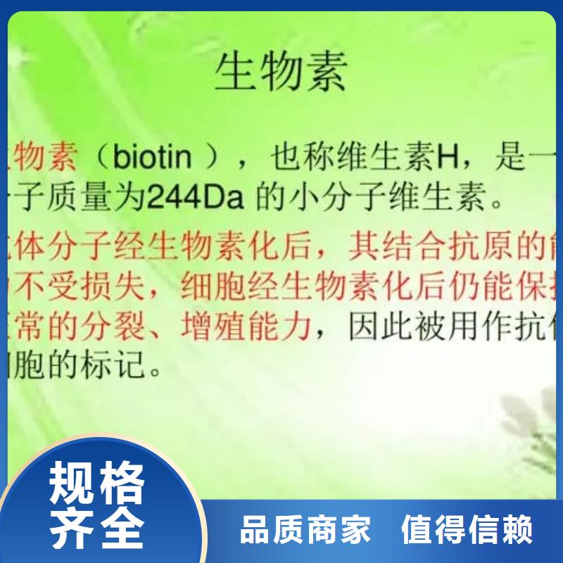 维成素B7厂家