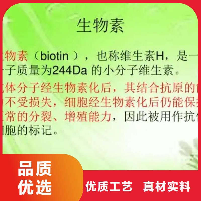 维成素B7参数