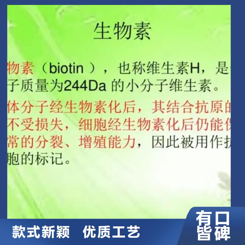 维成素B7批发