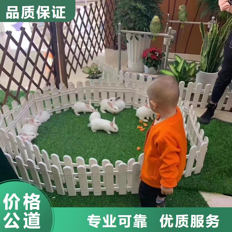 馬戲團表演租賃主題展覽
