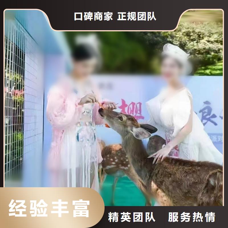 萌宠动物展