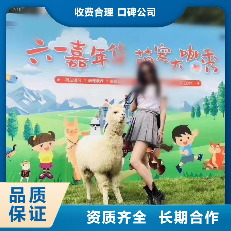 哪有租賃羊駝的聯(lián)系方式