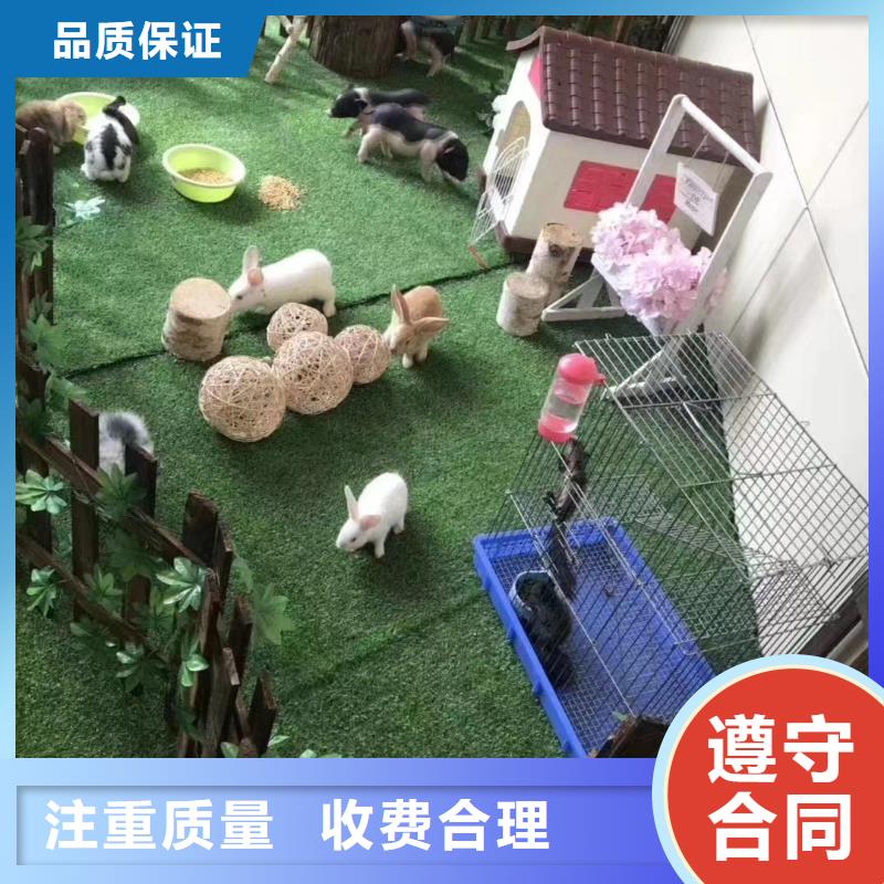 哪有出租馬戲團表演的圖片