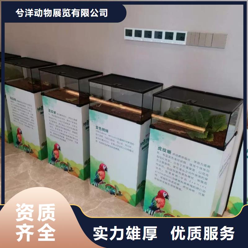 萌宠动物展租赁联系方式