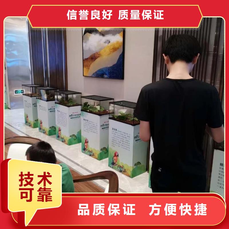 萌宠动物展