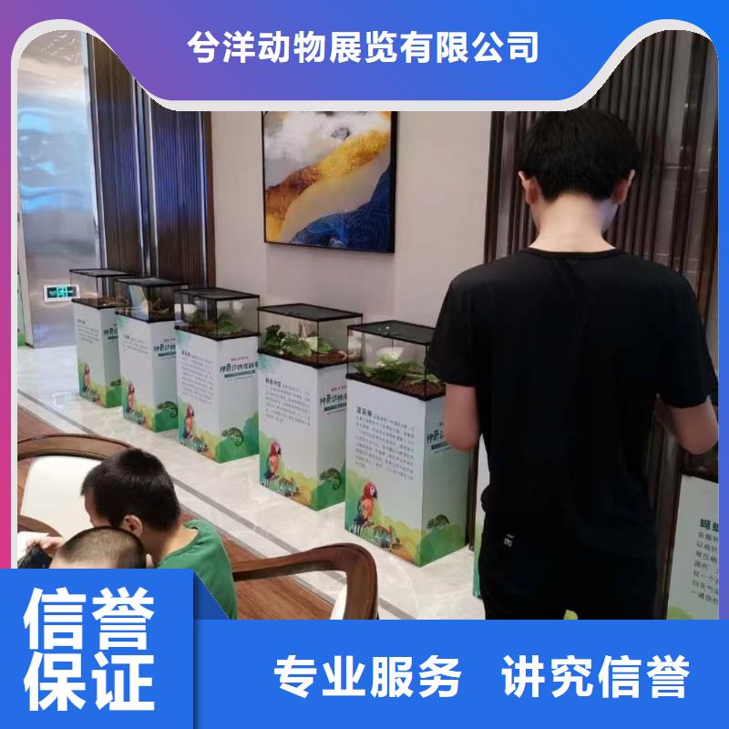 萌宠动物展出租庆典暖场