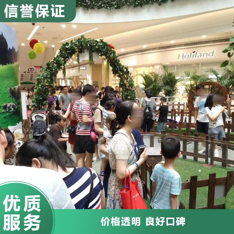 動物出租
