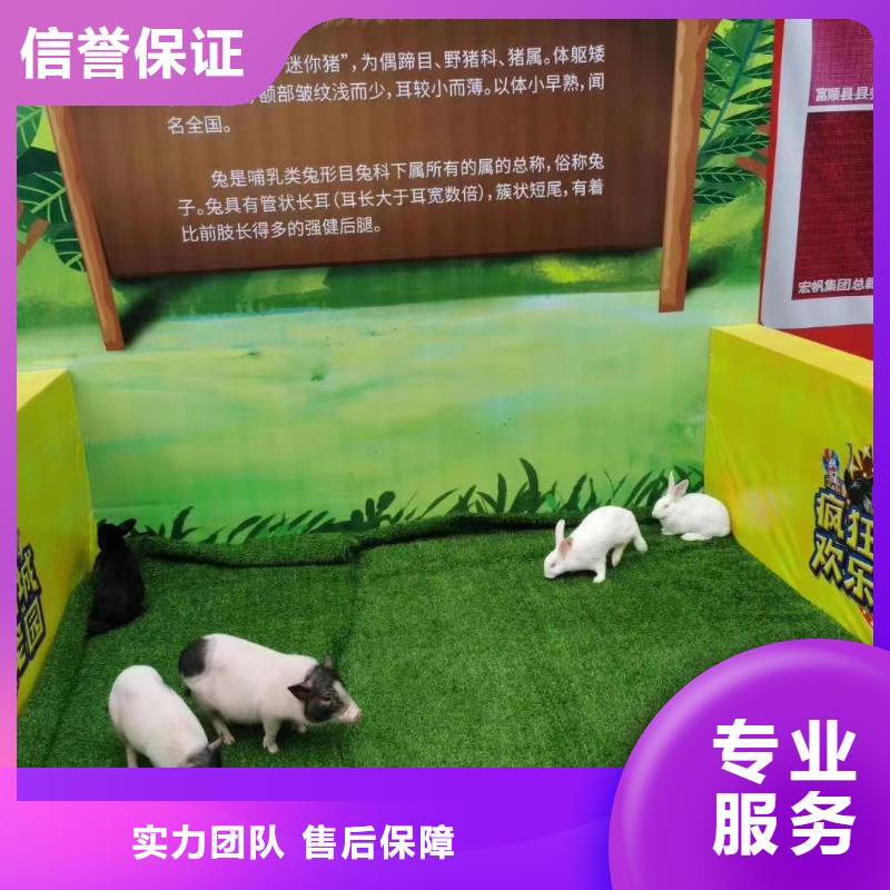 马戏团/羊驼小香猪宠物出租值得信赖