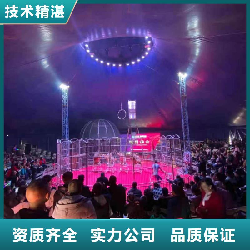 哪里有租賃羊駝的點擊查看
