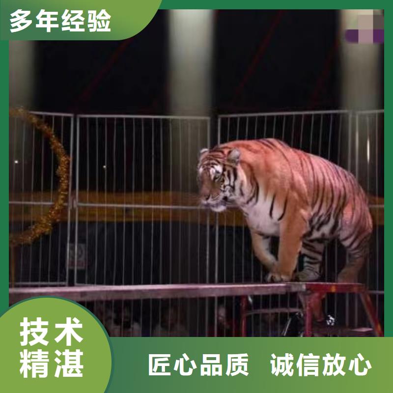 動物租賃