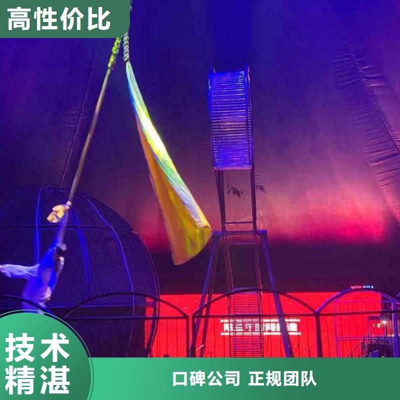 乐东县动物表演租赁丰富多彩