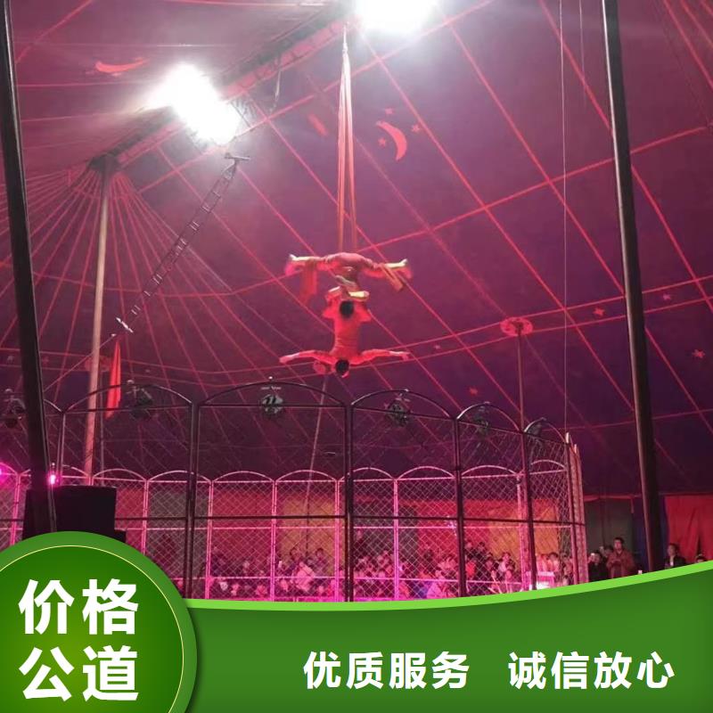馬戲團表演租賃