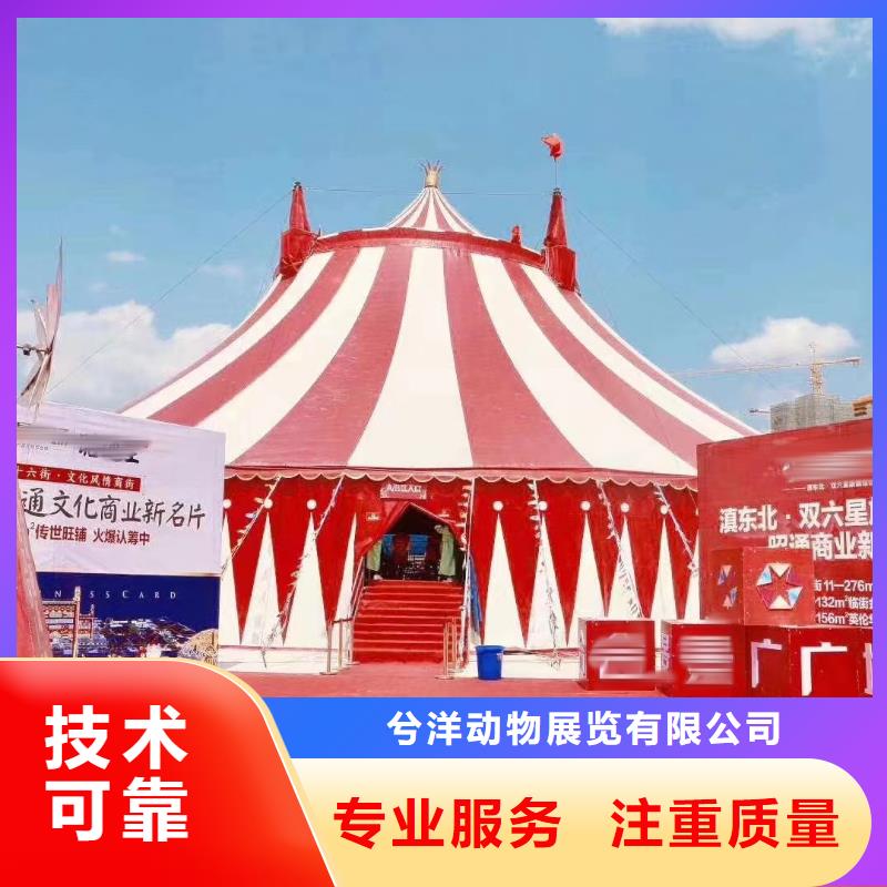 环球飞车表演租赁主题展览