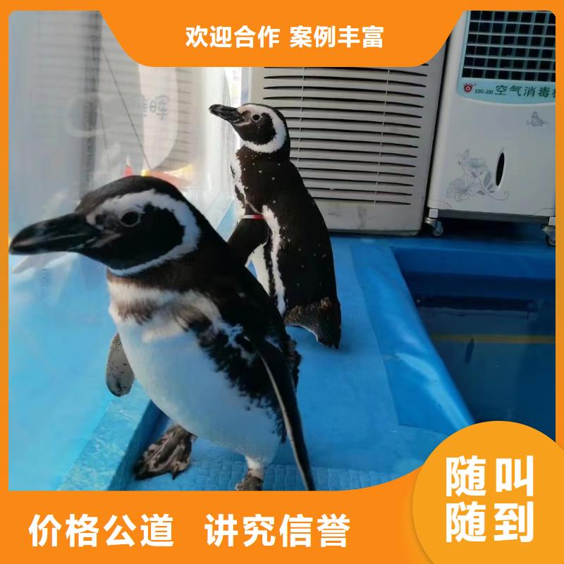 海洋生物展出租