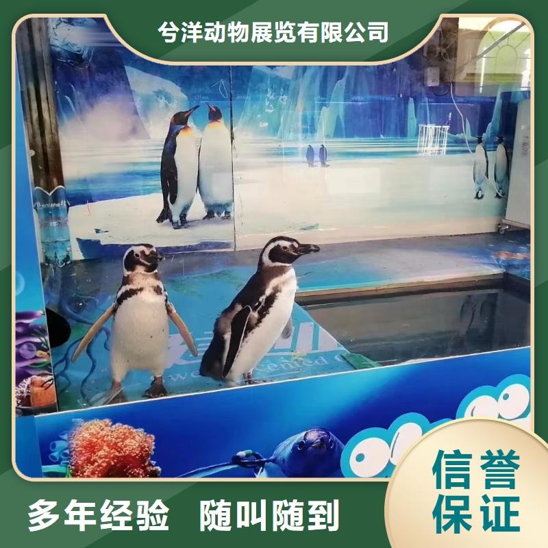 海洋生物展出租