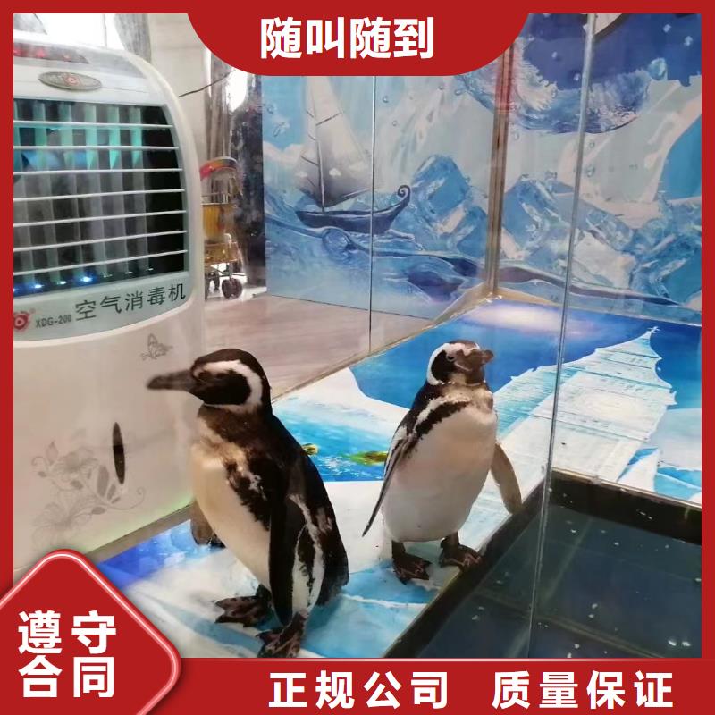 海洋生物展租赁公司主题展览