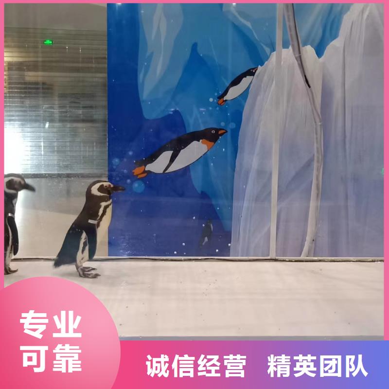 海洋展租赁联系我们