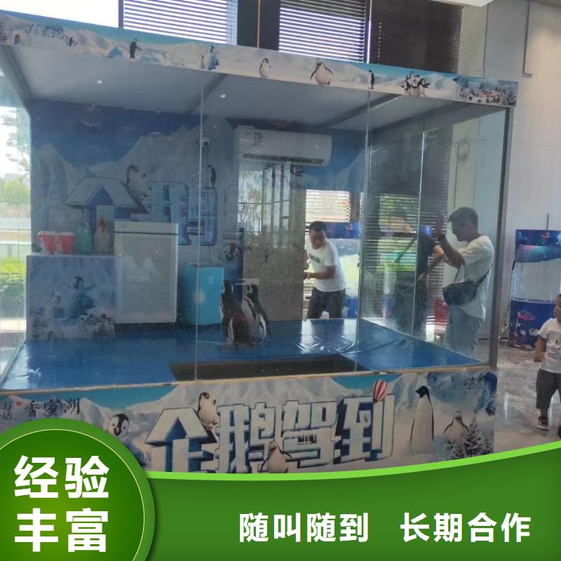 海洋生物展租赁公司丰富多彩