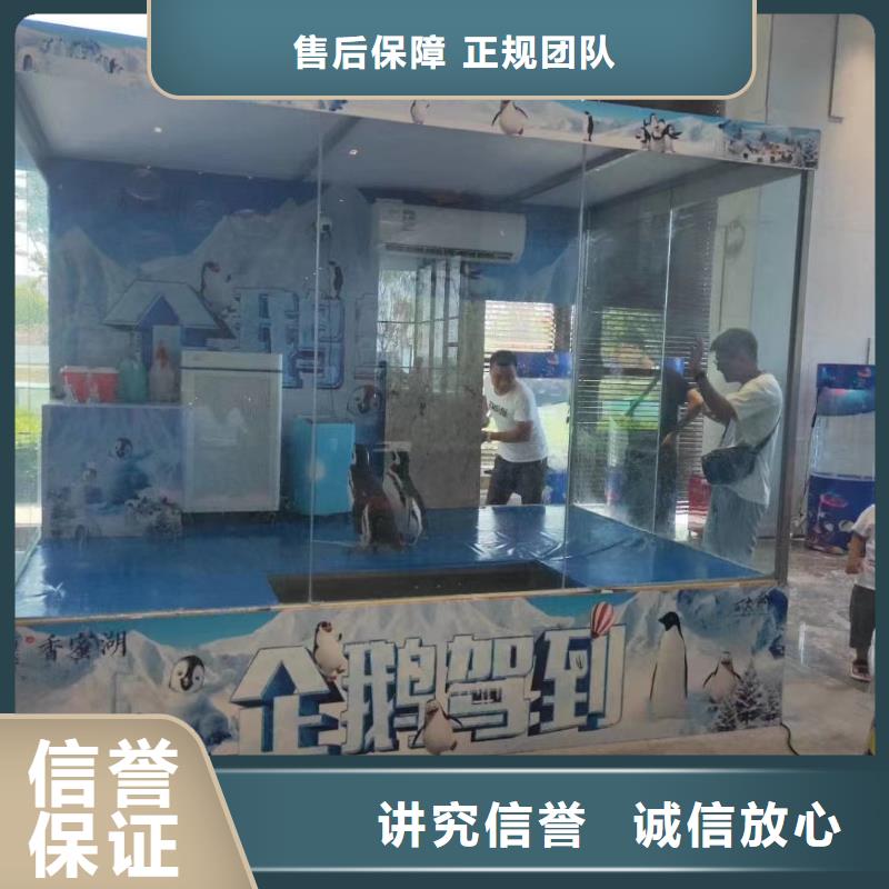 海洋生物展出租公司活动方案