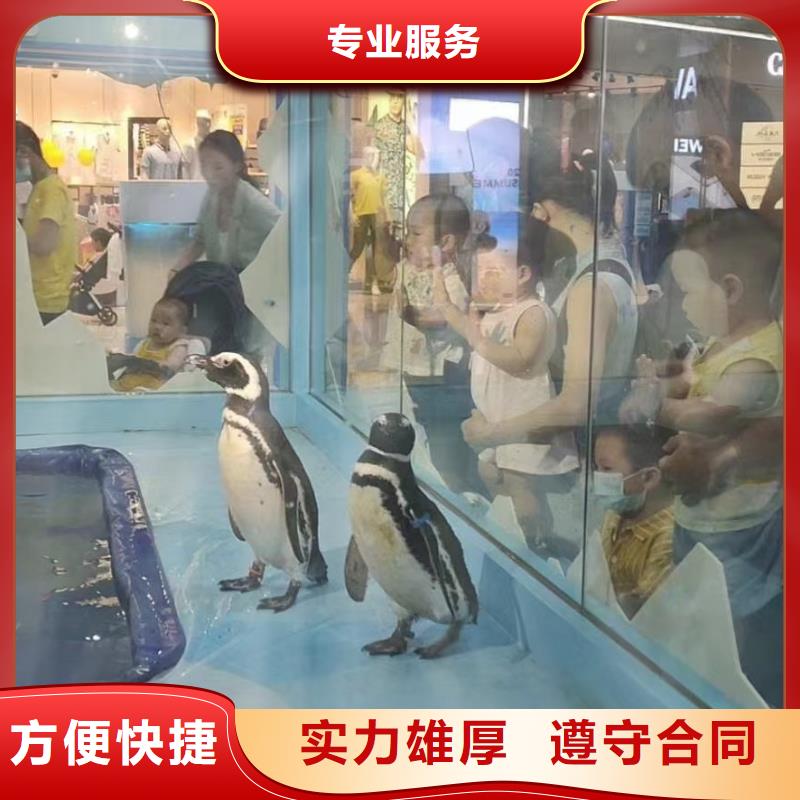 海洋生物展出租全国承接