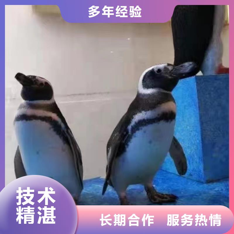 海洋生物鱼缸展租赁活跃气氛