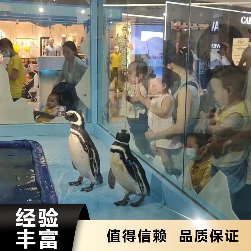 海洋生物鱼缸展出租节日活动