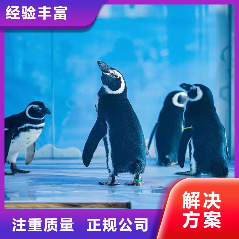 海洋生物展出租公司联系方式