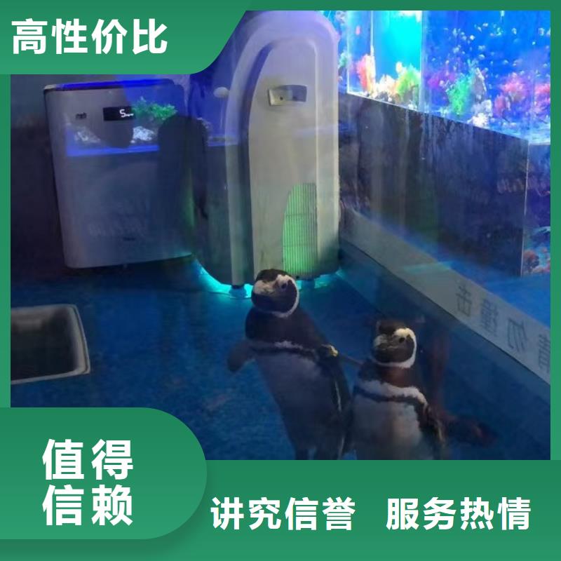 海洋生物展租赁联系方式