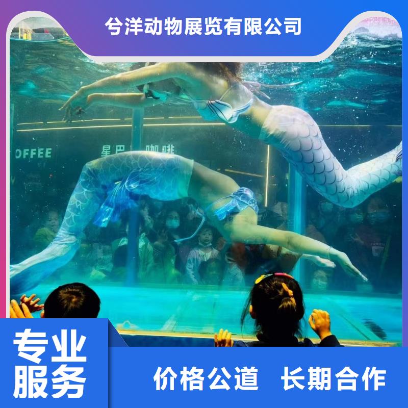 海洋生物展出租公司活动方案