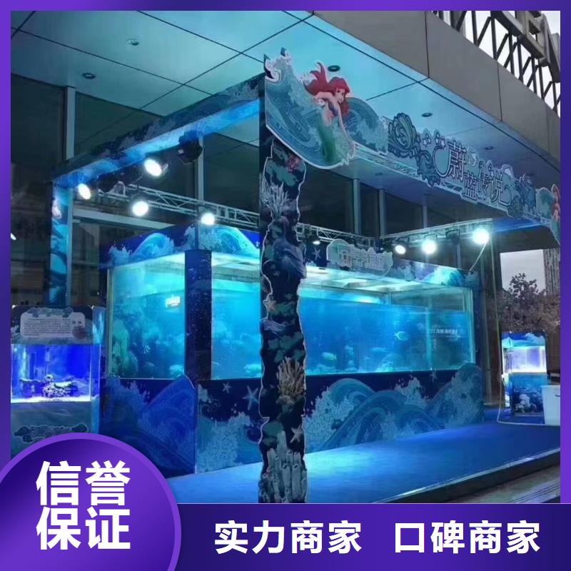 海狮企鹅表演出租质量可靠