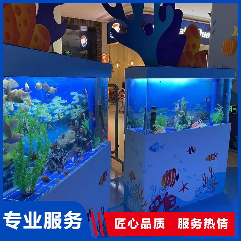 【海洋主题动物表演】海洋展租赁高效快捷