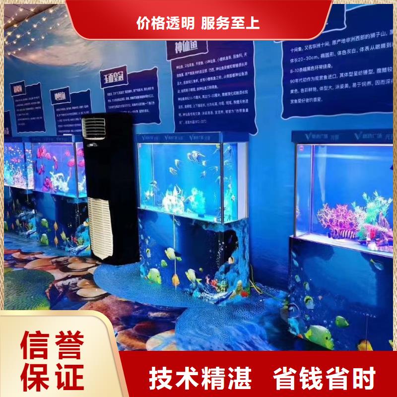 优质海洋生物展出租