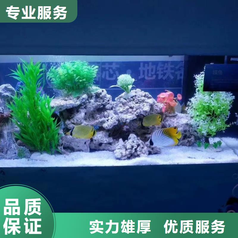 海洋生物展出租