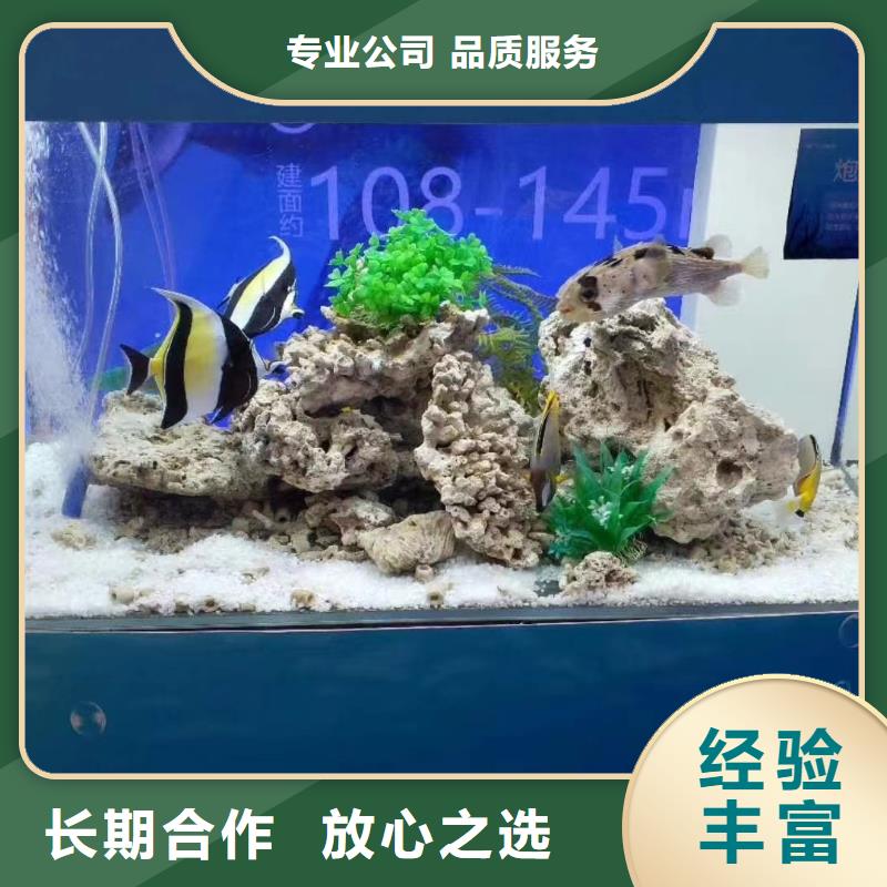 哪有出租海洋展的实力厂家