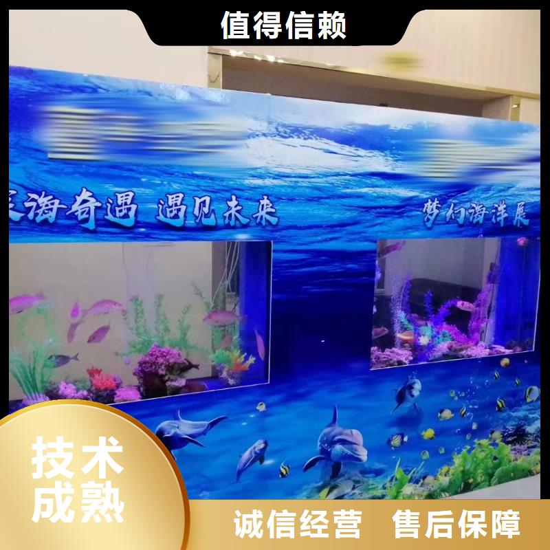 海狮表演租赁主题展览