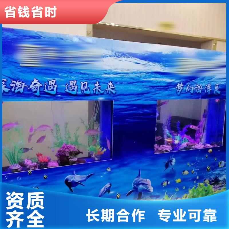 优质海洋生物展出租