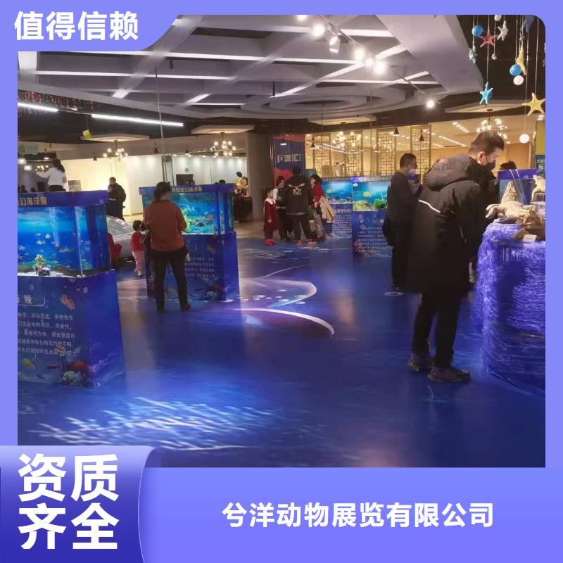 海洋生物展出租公司联系方式