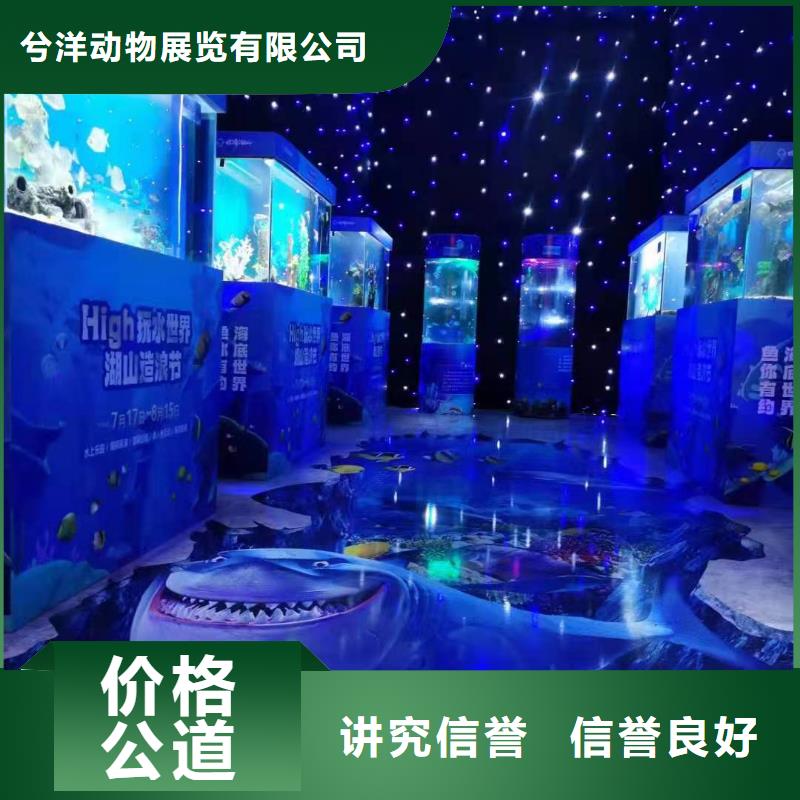 海洋生物展租赁哪里有