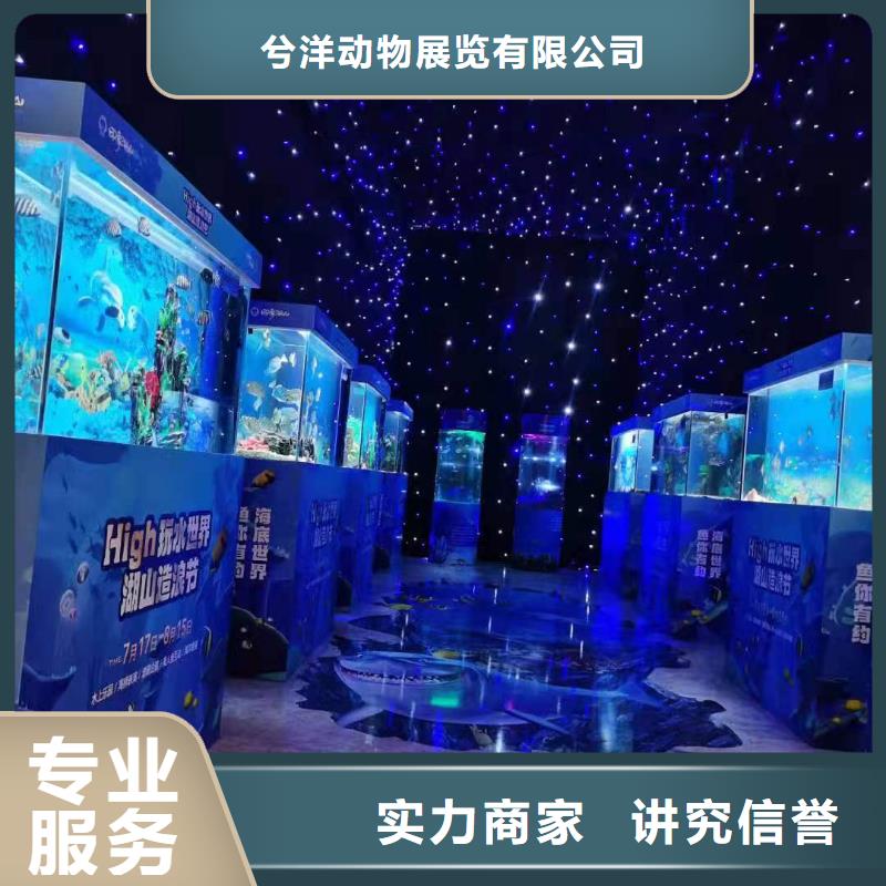 海洋生物鱼缸展租赁庆典活动