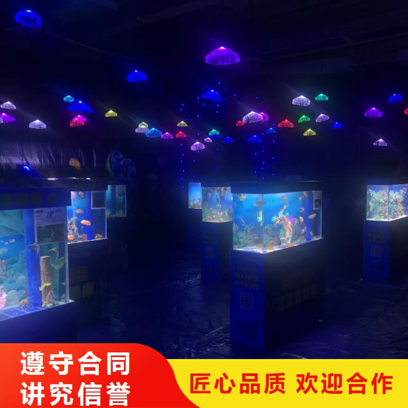 海狮表演租赁暖场氛围