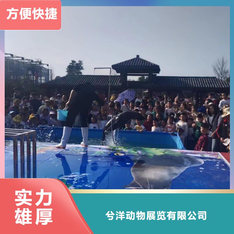 海洋生物展租赁