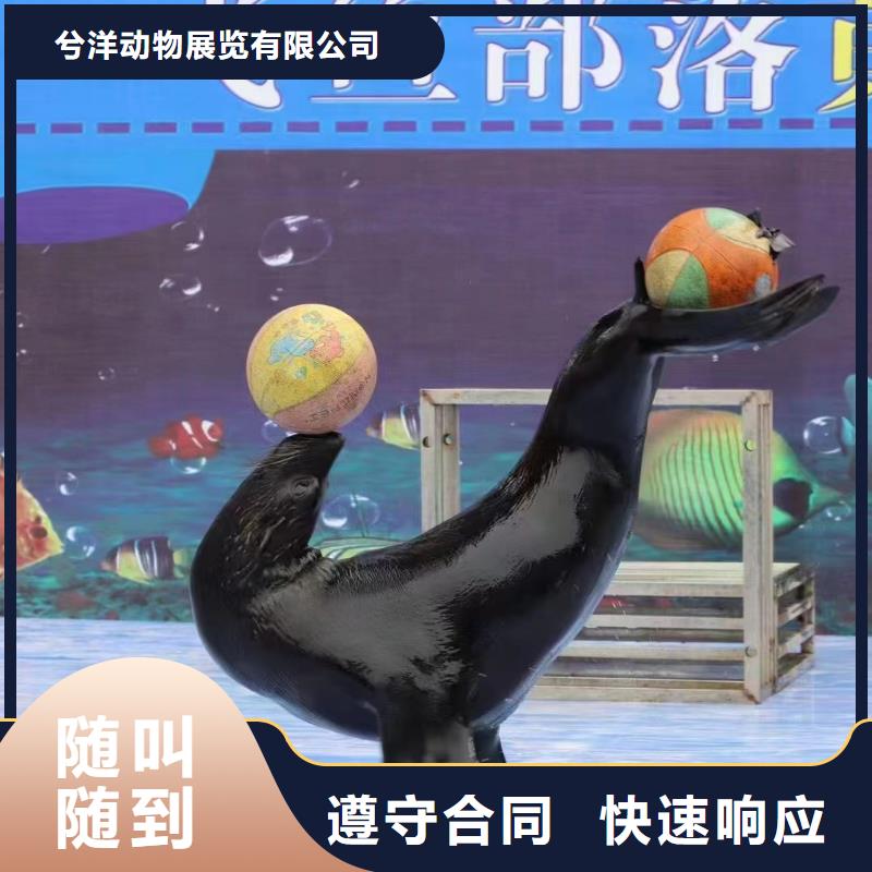 经验丰富的海洋生物展租赁销售厂家