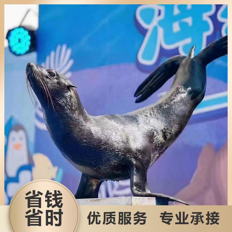 海洋展出租附近