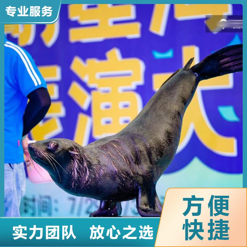 海洋生物展租赁公司主题展览