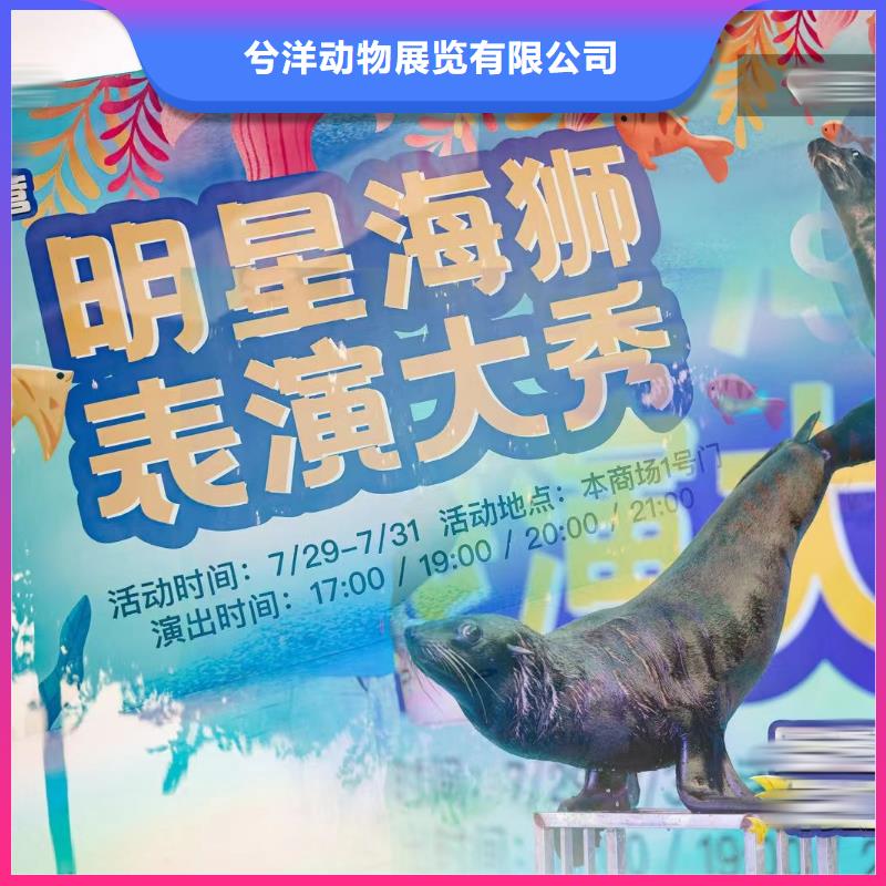 海洋生物展租赁公司丰富多彩