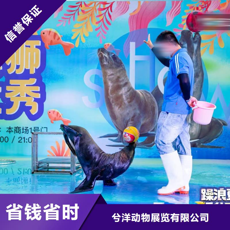 出租海洋生物展实力厂家