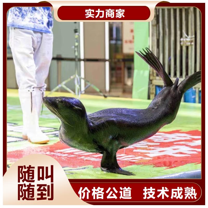 海洋生物展出租资源丰富