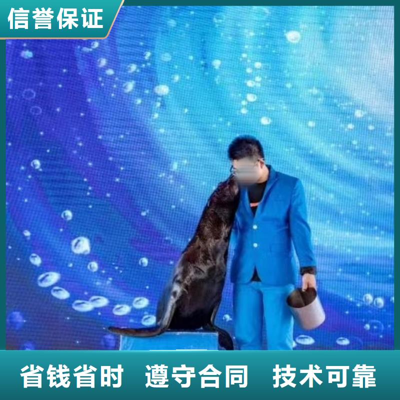 美人鱼表演出租点击查看