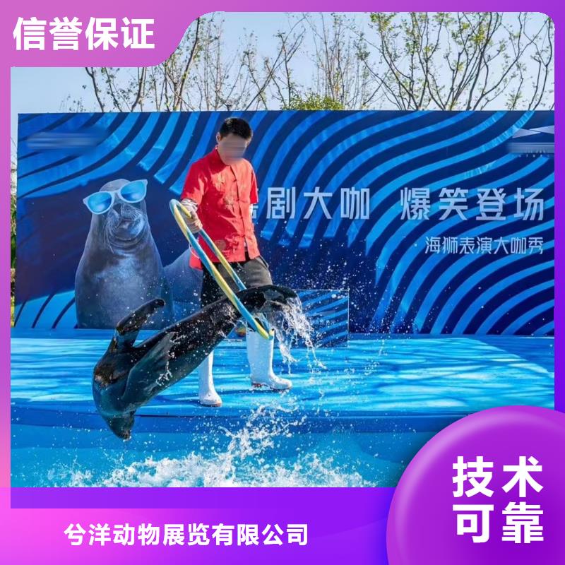 哪有出租海狮的联系我们